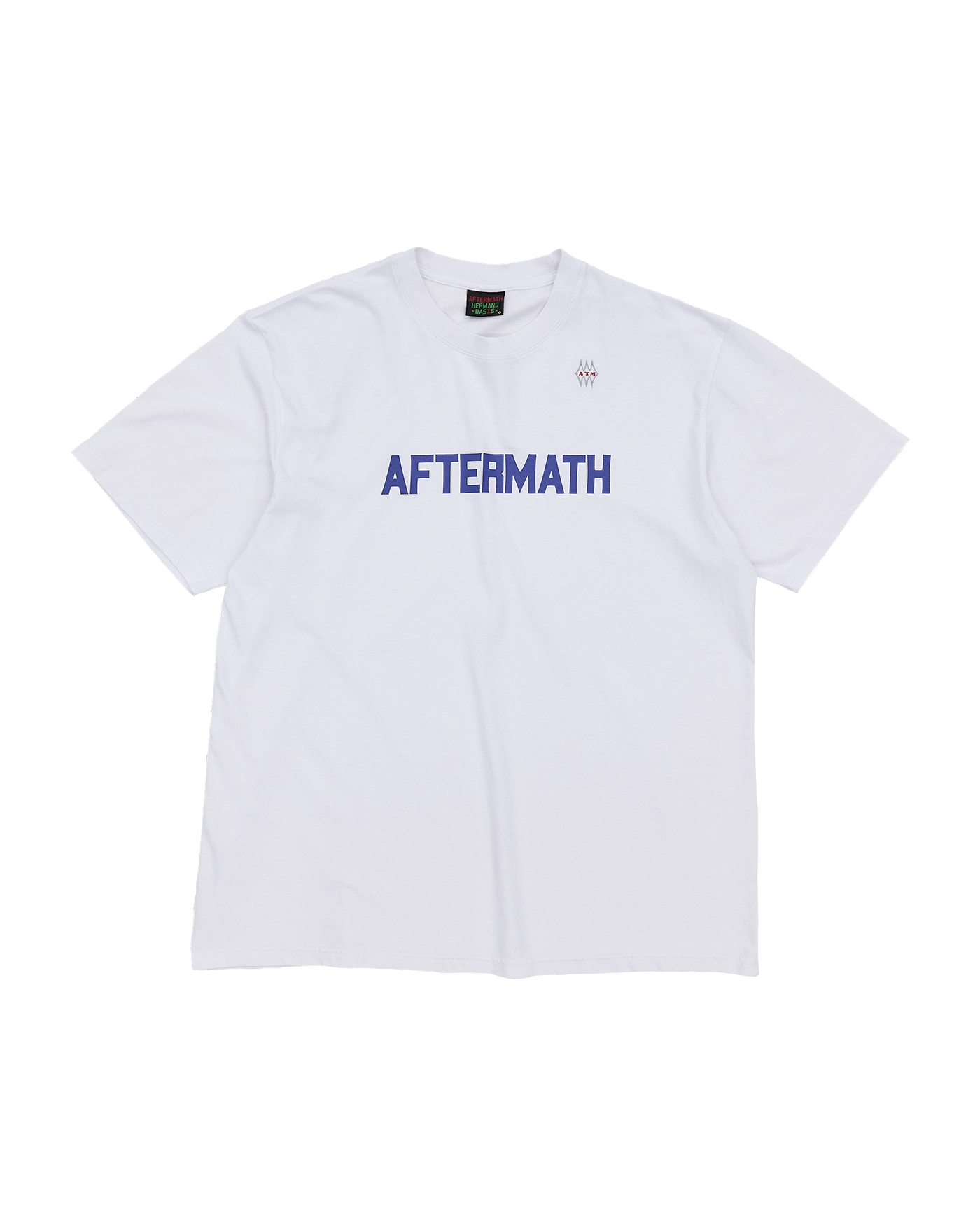 [AFTERMATH] AFTERMATH PIG DYED TOUR TEE /追跡付 AFTERMATH PIG DYED TOUR TEE